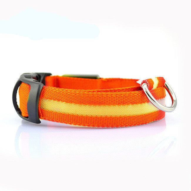LED Hundehalsband – Leuchtendes Sicherheits-Halsband für Hunde