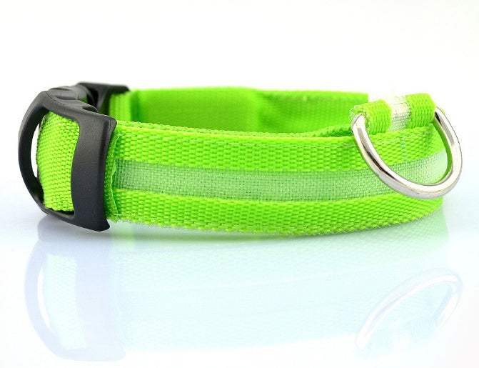 LED Hundehalsband – Leuchtendes Sicherheits-Halsband für Hunde
