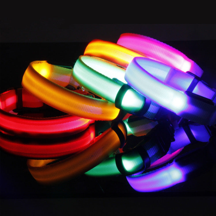 LED Hundehalsband – Leuchtendes Sicherheits-Halsband für Hunde