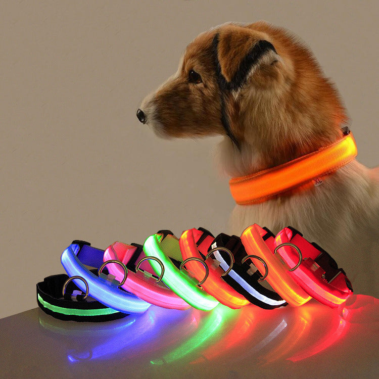 LED Hundehalsband – Leuchtendes Sicherheits-Halsband für Hunde