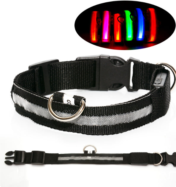 LED Hundehalsband – Leuchtendes Sicherheits-Halsband für Hunde