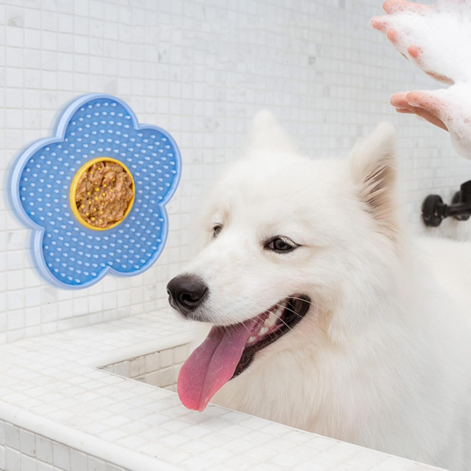 Hundenapf mit Slow-Feeder-Funktion aus Silikon (Leckmatte)